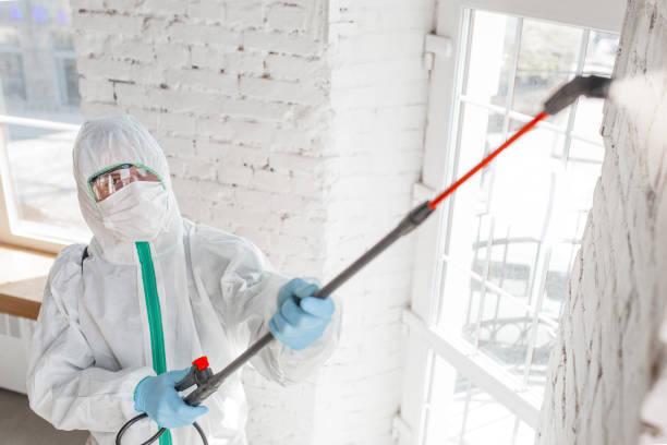 Best Comprehensive Air Testing for Mold Contaminants  in Cedar City, UT