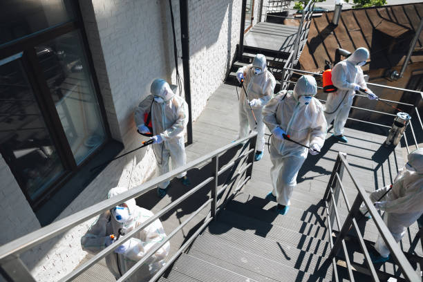 Best Industrial Mold Remediation  in Cedar City, UT
