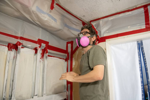 Best Emergency Mold Remediation  in Cedar City, UT