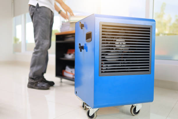 Best Mold Damage Restoration  in Cedar City, UT