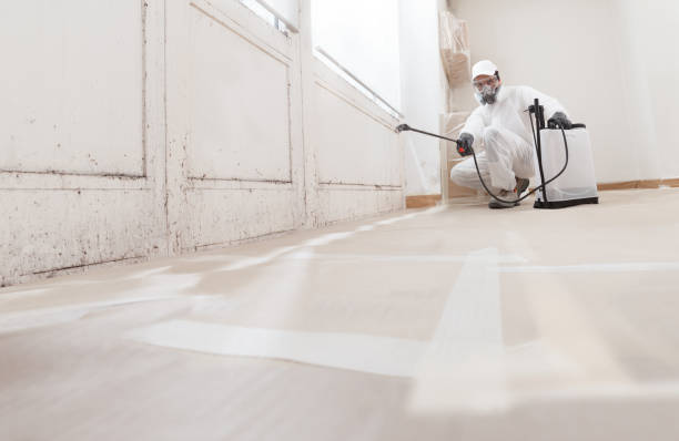 Forensic Mold Investigation in Cedar City, UT